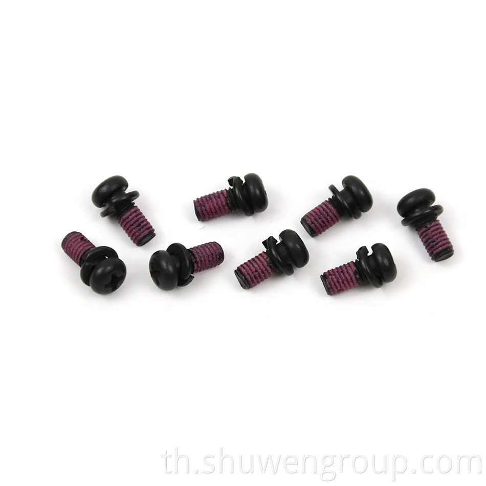 Black Oxide Screws with Nylon Patch and Washers